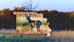 Kansas hunting seasons