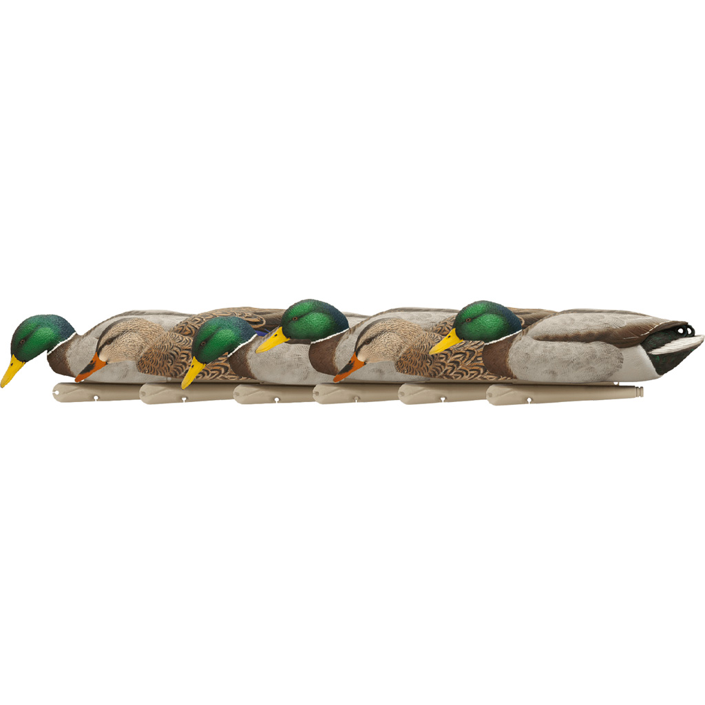 AvianX Top Flight Duck Decoys Backwater Mallards 6 pk.