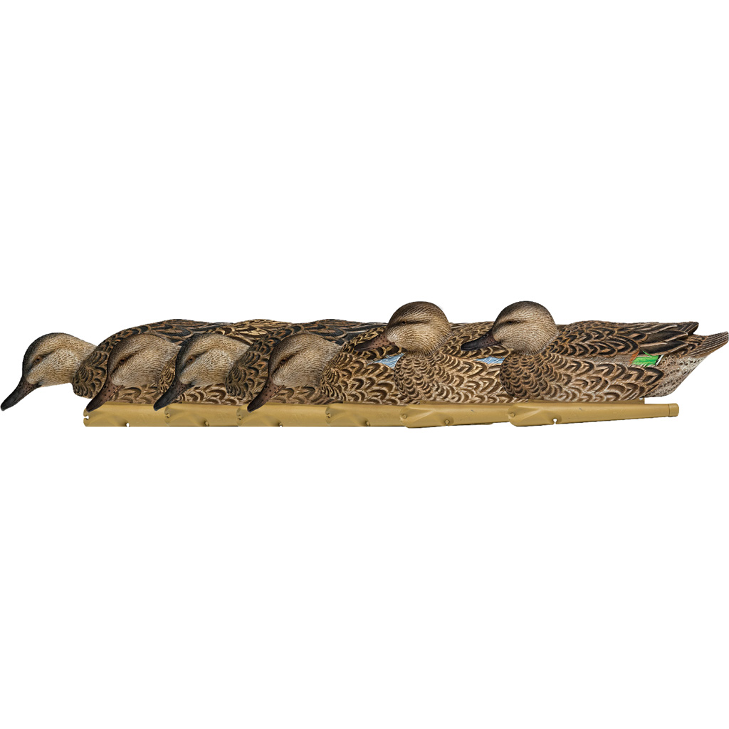 AvianX Top Flight Duck Decoys Early Season Teal 6 pk.