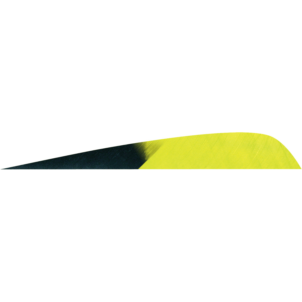 Gateway Parabolic Feathers Kuro Lemon Lime 4 in. LW 50 pk.