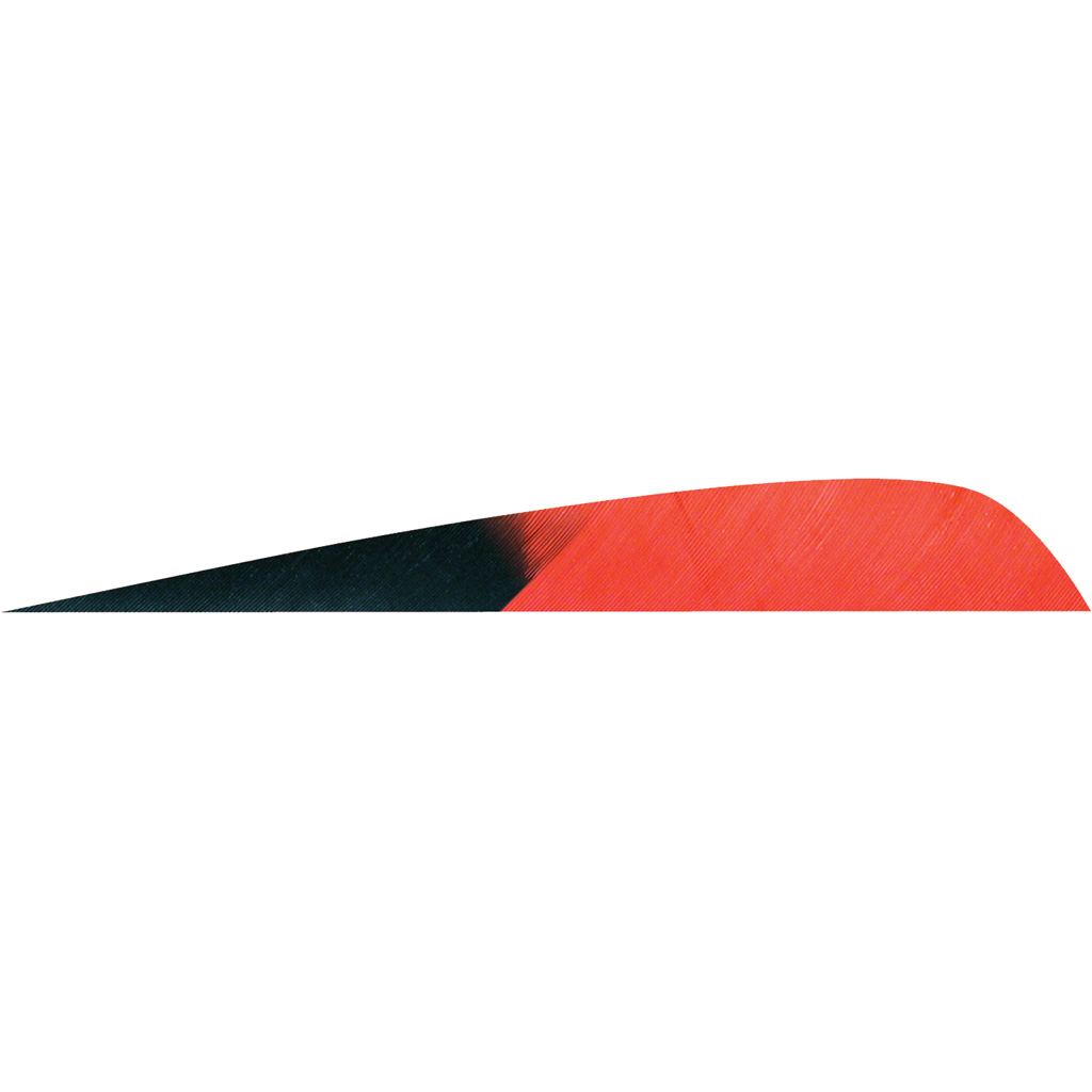 Gateway Parabolic Feathers Kuro Red 4 in. LW 50 pk.