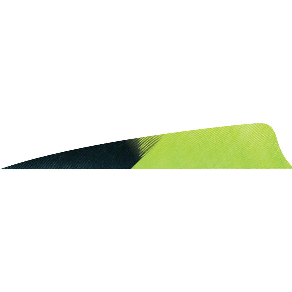 Gateway Shield Cut Feathers Kuru Chartreuse 4 in. RW 50 pk.