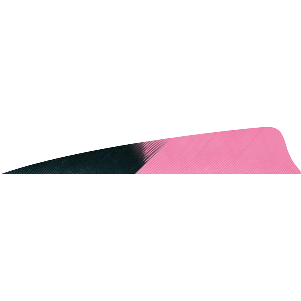 Gateway Shield Cut Feathers Kuru Flo Pink 4 in. RW 50 pk.