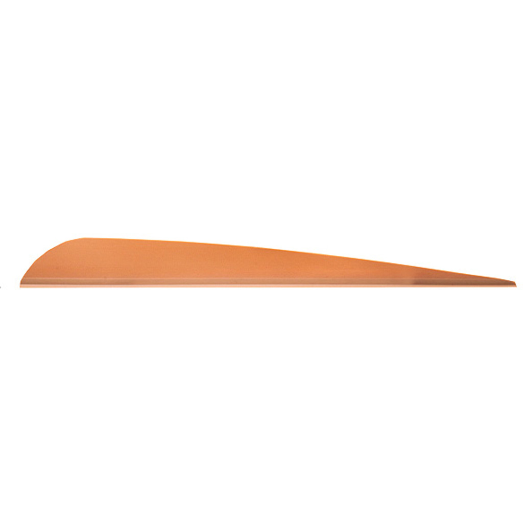 AAE Trad Vanes Sand 5 in. 50 pk.