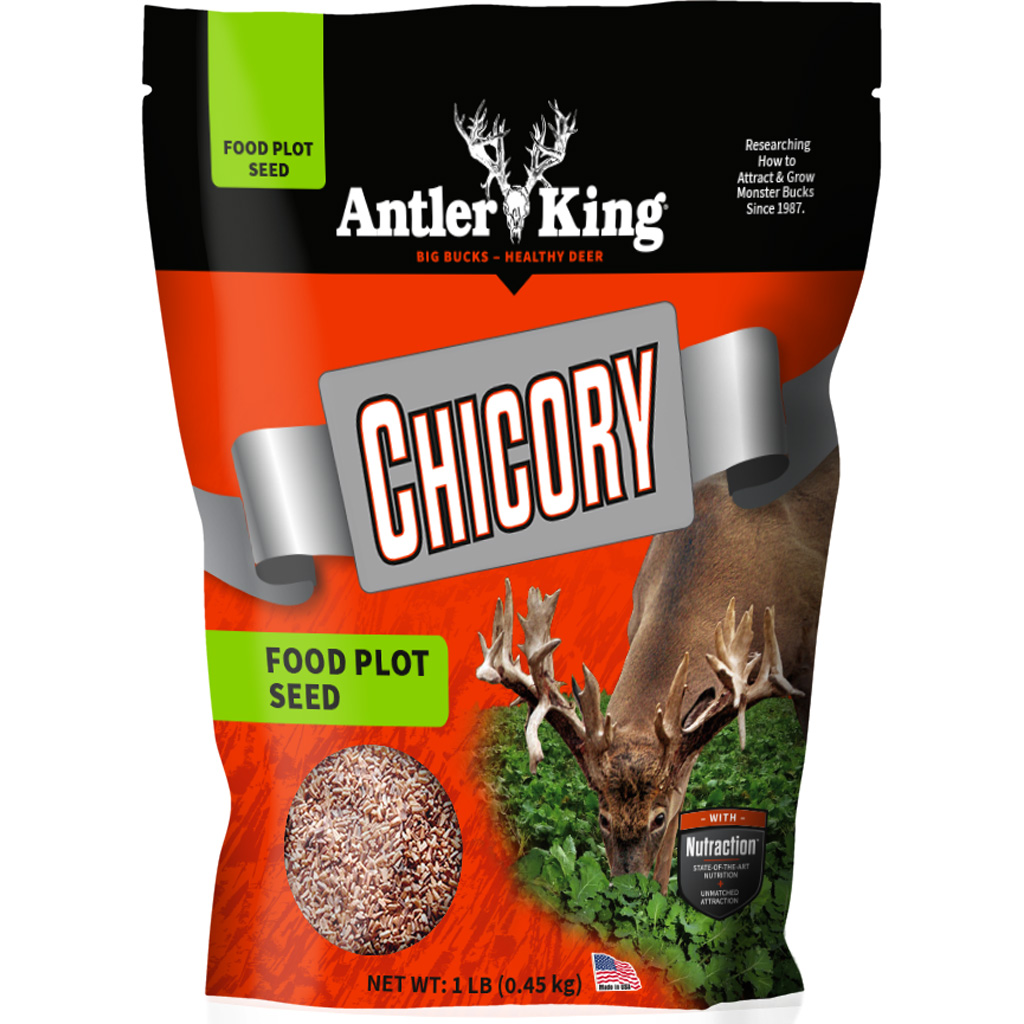 Antler King Chicory Seed 1/4 Acre