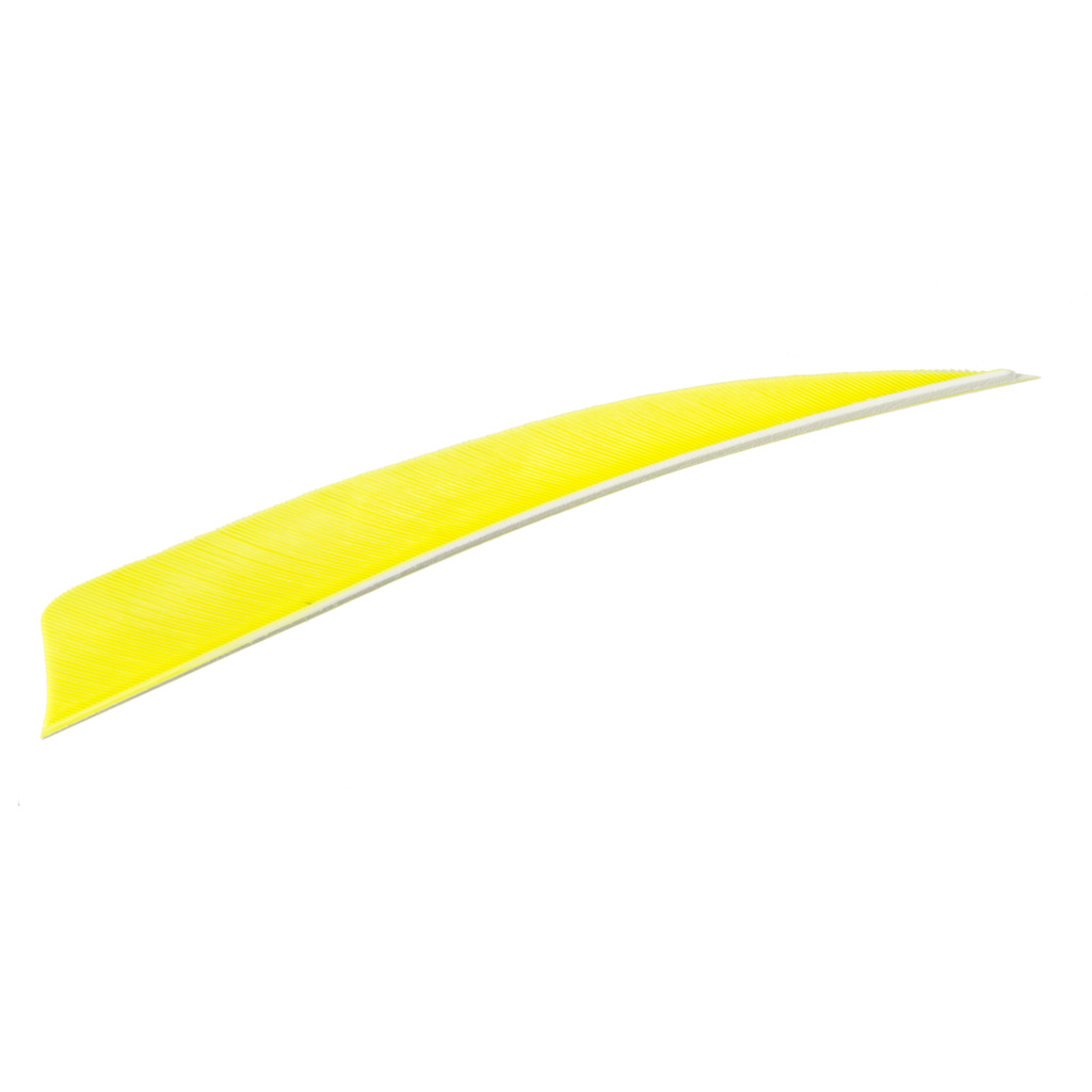 Trueflight Shield Cut Feathers Chartreuse 5 in. LW 100 pk.