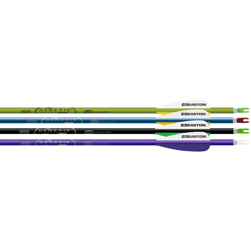Easton Genesis Arrows Purple/Black/Teal/Green 1820 3 in. Vanes 72 pk.