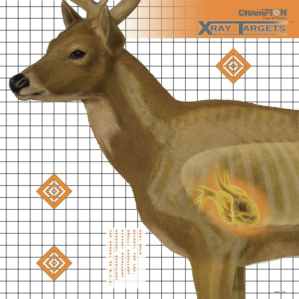 Champion X-Ray Deer Target 25x25 in. 6 pk