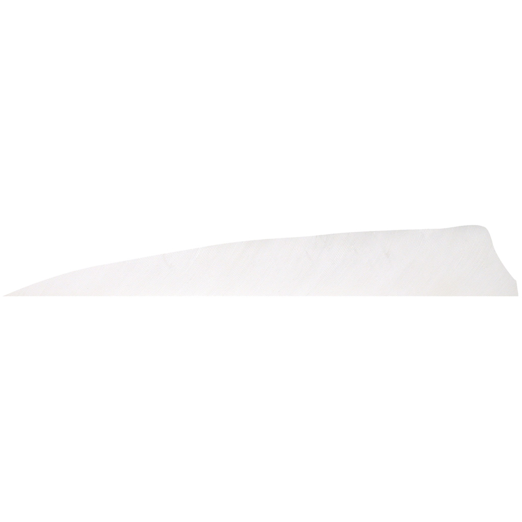 Gateway Shield Cut Feathers White 4 in. RW 100 Pk.