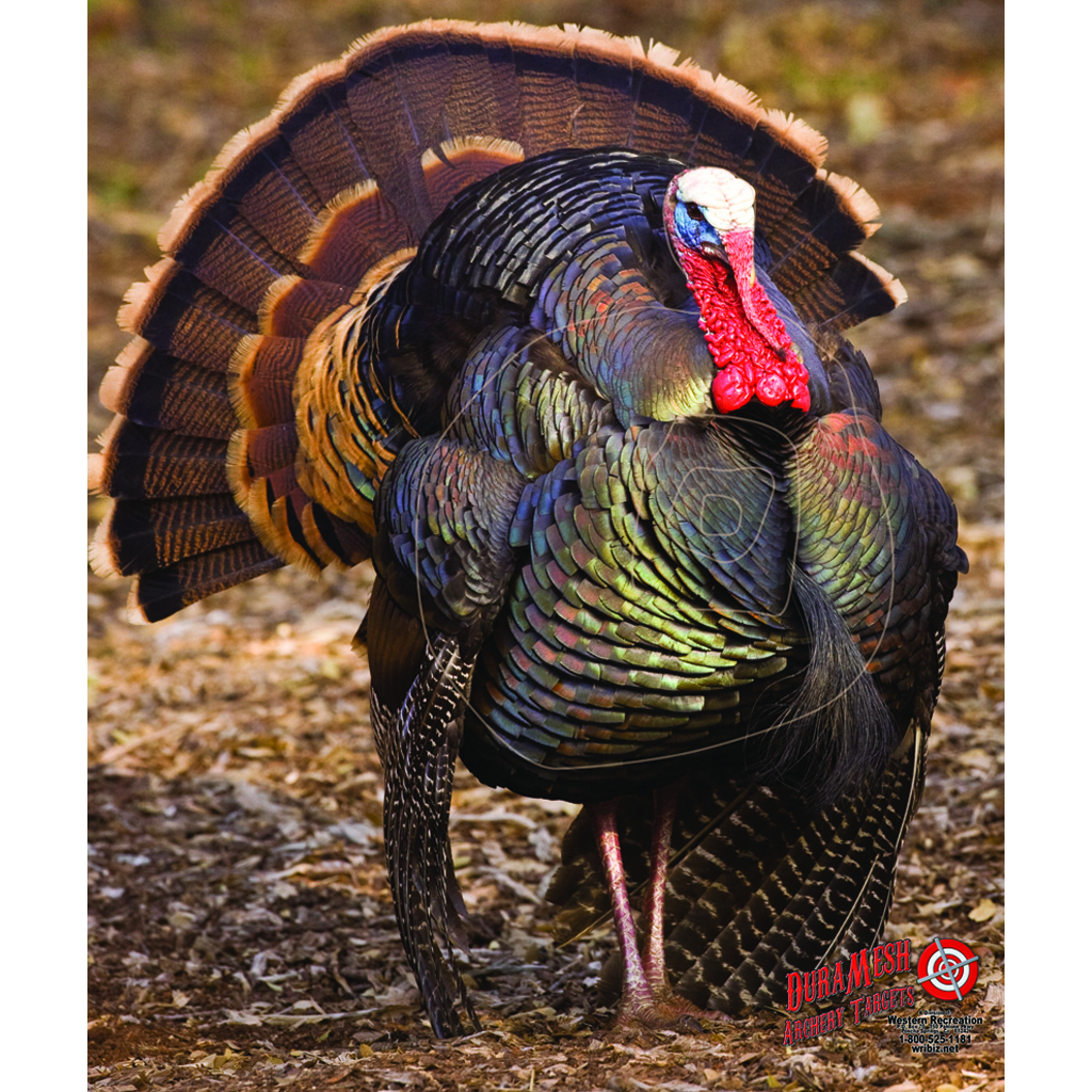 DuraMesh Archery Target Turkey 3 32 in. x 25 in.