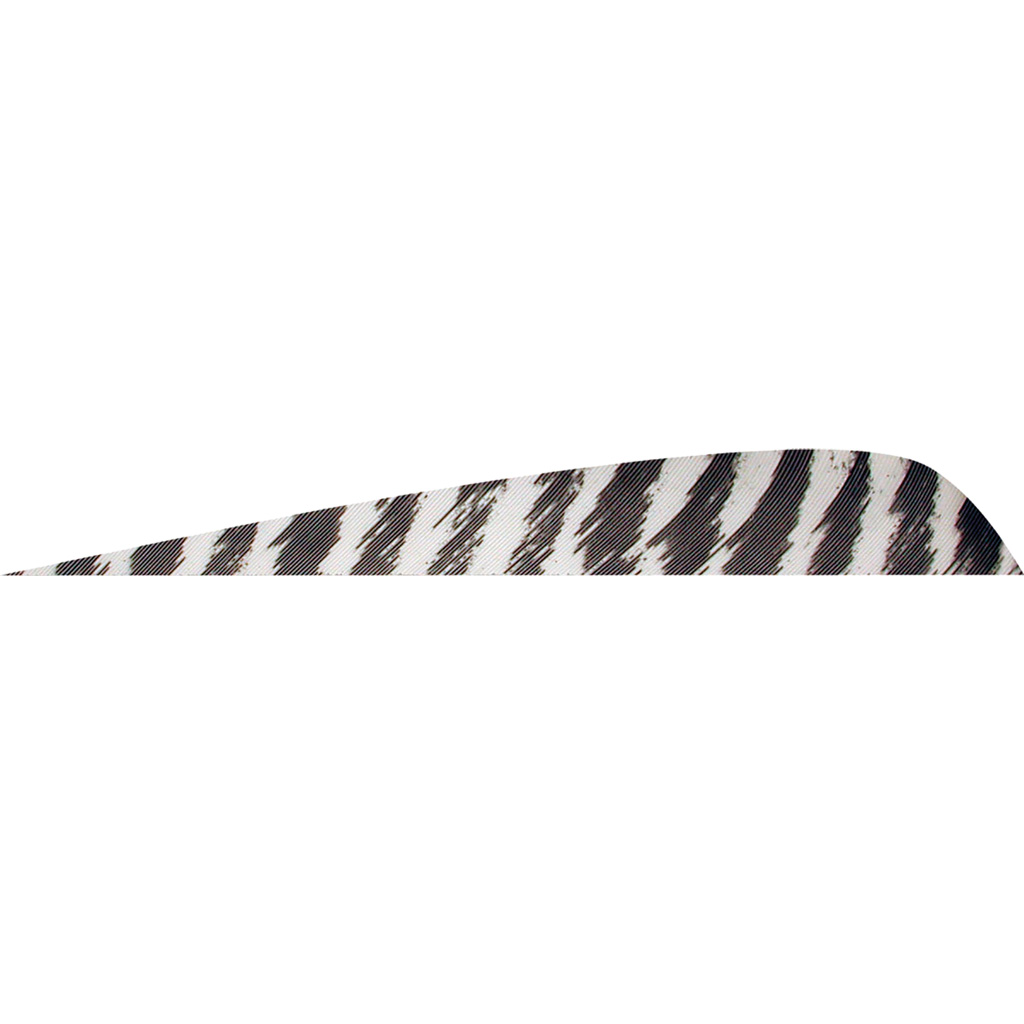 Gateway Parabolic Feathers Barred White 4 in. LW 50 pk.
